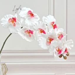 Lan Xoăn Cao Su 9 Bông Giống Thật Trang Trí Nhà Cửa Decor Sự Kiện, Cổng Cưới. Hoa Lụa Decor 4