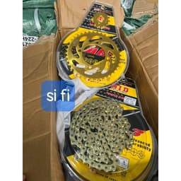 Nhông xích did vỉ (nhông sên đĩa vàng) 4