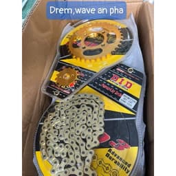 Nhông xích did vỉ (nhông sên đĩa vàng) 3