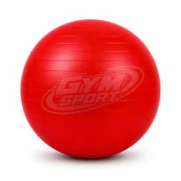 BÓNG TẬP YOGA/PILATES MINI 25CM 8