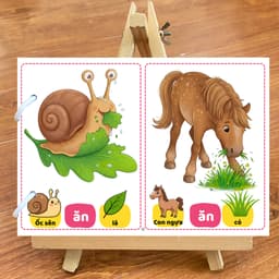 Thẻ phát triển kỹ năng giao tiếp EVON - Giúp Bé Tập Nói Sớm -"Các Con Vật Ăn Gì?" 9