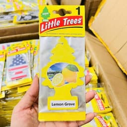 Cây Thông Thơm Little Trees Khử Mùi Tự Nhiên Cho Ô Tô, Phòng Ngủ, Tủ Quần Áo 8