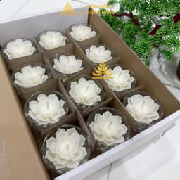 Hộp 12 Ly Nến Hoa Sen T01, Nến Bơ Dâng Phật Cúng Mụ Cúng Dường An Toàn Không Khói 2