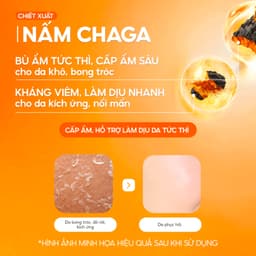 [KOL] Toner Nấm Chaga Cấp Ẩm, Kháng Viêm, Làm Dịu Nhanh - GGG Calming Mushroom Toner 200ml 5