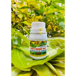 SIÊU BUNG ĐỌT MAI PHỤC HỒI CÂY SUY YẾU, GIÚP BUNG ĐỌT, ĐÂM CHỒI, RỄ KHOẺ, XANH LÁ, CỨNG CÂY CHAI 100ML 3
