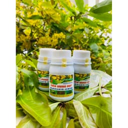SIÊU BUNG ĐỌT MAI PHỤC HỒI CÂY SUY YẾU, GIÚP BUNG ĐỌT, ĐÂM CHỒI, RỄ KHOẺ, XANH LÁ, CỨNG CÂY CHAI 100ML 2