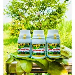 SIÊU BUNG ĐỌT MAI PHỤC HỒI CÂY SUY YẾU, GIÚP BUNG ĐỌT, ĐÂM CHỒI, RỄ KHOẺ, XANH LÁ, CỨNG CÂY CHAI 100ML 5