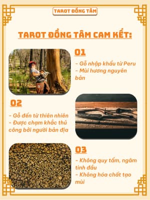 Gỗ Thanh Tẩy Palo Santo Xuất Xứ Peru Nam Mỹ Chính Ngạch TAROT ĐỒNG TÂM