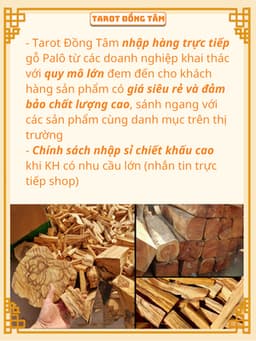 Gỗ Thanh Tẩy Palo Santo Xuất Xứ Peru Nam Mỹ Chính Ngạch TAROT ĐỒNG TÂM 3