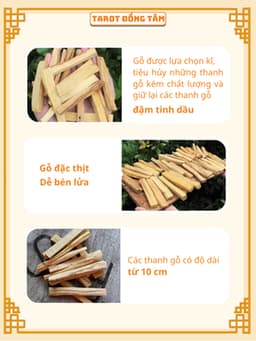 Gỗ Thanh Tẩy Palo Santo Xuất Xứ Peru Nam Mỹ Chính Ngạch TAROT ĐỒNG TÂM 2
