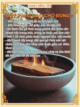 Gỗ Thanh Tẩy Palo Santo Xuất Xứ Peru Nam Mỹ Chính Ngạch TAROT ĐỒNG TÂM 4