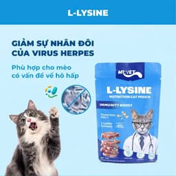 (COMBO 4 THÙNG) Pate Mr.Vet 70gram Dành cho mèo mọi lứa tuổi - Bổ sung Omega-3, Vitamins, L-Lysine,. 4