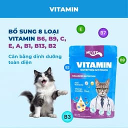 (COMBO 4 THÙNG) Pate Mr.Vet 70gram Dành cho mèo mọi lứa tuổi - Bổ sung Omega-3, Vitamins, L-Lysine,. 3