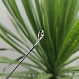 Cần Câu Lure UL K5 Chameleon 1m68–1m8 Carbon 2 Khúc – Máy Đứng & Máy Ngang – Tải Mồi 0.5–8g 5