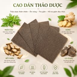 Combo 10 Hộp 200 Miếng Cao Dán Ngải Cứu Vàng Giảm Đau Cổ Vai Gáy Và Nhiều Vị Trí - Hộp 20 Miếng 5