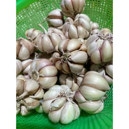 1Kg Tỏi Hồng Làm Sạch , Củ To Già Tỏi Chắc Củ, Tỏi Thơm Ngon Nhiều Tinh Dầu, Phù Hợp Với Các Món Ăn Gia Đình 2