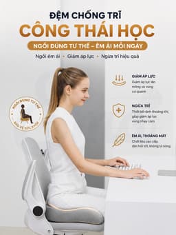 Đệm Ngồi Chống Trĩ Công Thái Học EMA - Cao Su Non Giảm Đau Xương Cụt Cho Dân Văn Phòng & Tài Xế 3