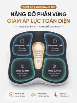 Đệm Ngồi Chống Trĩ Công Thái Học EMA - Cao Su Non Giảm Đau Xương Cụt Cho Dân Văn Phòng & Tài Xế 5
