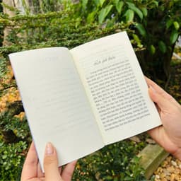 Sách - Bạo Lực Và Hỗn Loạn Xã Hội - Vĩnh Nghiêm Books 5