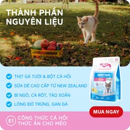 Hạt Mr.Vet, Hạt Cho Mèo MR.VET E1-E2-E3 Bổ Sung Dinh Dưỡng Túi 1kg - Méo Chò Uni 7