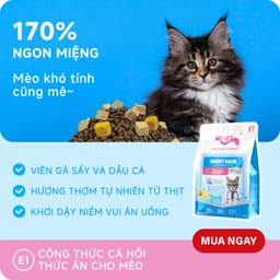 Hạt Mr.Vet, Hạt Cho Mèo MR.VET E1-E2-E3 Bổ Sung Dinh Dưỡng Túi 1kg - Méo Chò Uni 5