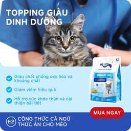 Hạt Mr.Vet, Hạt Cho Mèo MR.VET E1-E2-E3 Bổ Sung Dinh Dưỡng Túi 1kg - Méo Chò Uni 6