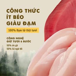 Pate Cao Cấp Bite of Wild Hộp 12 Gói 70G, Công Thức Sữa Dê Cho Mèo Từ 2 Tháng - MÉO CHÒ UNI 4