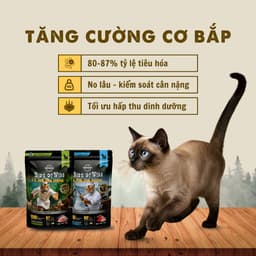 Pate Cao Cấp Bite of Wild Hộp 12 Gói 70G, Công Thức Sữa Dê Cho Mèo Từ 2 Tháng - MÉO CHÒ UNI 3