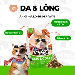 Thức Ăn Cho Mèo Keepo K1 Skin & Coat 1kg – Hạt Mèo Omega 3 Cá Hồi Đẹp Da Mượt Lông - MÉO CHÒ UNI 9