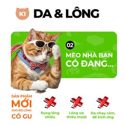 Thức Ăn Cho Mèo Keepo K1 Skin & Coat 1kg – Hạt Mèo Omega 3 Cá Hồi Đẹp Da Mượt Lông - MÉO CHÒ UNI 8
