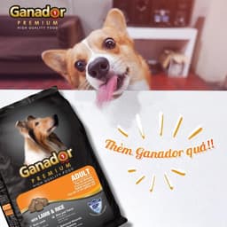 Hạt cho chó Ganador premium 10kg/ 3kg vị cừu gạo hỗ trợ mượt da lông - MÉO CHÒ UNI 4