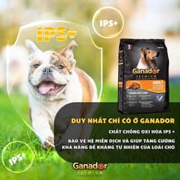 Hạt cho chó Ganador premium 10kg/ 3kg vị cừu gạo hỗ trợ mượt da lông - MÉO CHÒ UNI 6