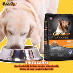 Hạt cho chó Ganador premium 10kg/ 3kg vị cừu gạo hỗ trợ mượt da lông - MÉO CHÒ UNI 3