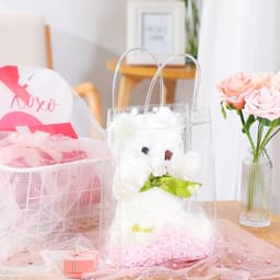 Túi Nhựa PVC Trong Suốt 2 Quai Nút Bấm 20x25x7cm và Túi Trong Suốt Đựng Bình Ly Giữ Nhiệt 4