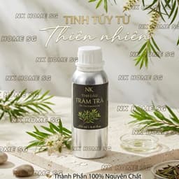 Tinh Dầu Tràm Trà Nguyên Chất Dung Tích Lớn, Khuếch Tán Không Gian, Tươi Mát Sạch Khuẩn 4