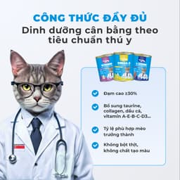 Pate lon cho mèo MR.VET 400G đủ 8 vị hỗ trợ Tiêu Hóa, Sáng Mắt, Mượt Lông - MÉO CHÒ UNI 7
