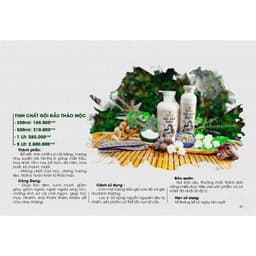 Tinh Chất Gội Đầu Thảo Mộc Mẹ Ken 2