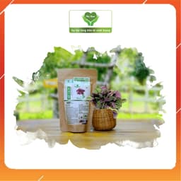 BỘT TÍA TÔ SẤY LẠNH NGUYÊN CHẤT MẸ KEN (100gr) 2