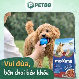 Hạt cho chó trưởng thành MAXIME gói 1.5KG vị bò bổ sung năng lượng, hỗ trợ tiêu hóa - MÉO CHÒ UNI 3