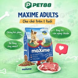 Hạt cho chó trưởng thành MAXIME gói 1.5KG vị bò bổ sung năng lượng, hỗ trợ tiêu hóa - MÉO CHÒ UNI 2