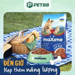 Hạt cho chó trưởng thành MAXIME gói 1.5KG vị bò bổ sung năng lượng, hỗ trợ tiêu hóa - MÉO CHÒ UNI 4