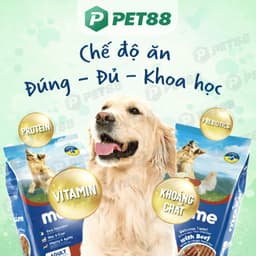 Hạt cho chó trưởng thành MAXIME gói 1.5KG vị bò bổ sung năng lượng, hỗ trợ tiêu hóa - MÉO CHÒ UNI 7