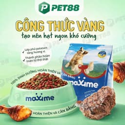 Hạt cho chó trưởng thành MAXIME gói 1.5KG vị bò bổ sung năng lượng, hỗ trợ tiêu hóa - MÉO CHÒ UNI 9