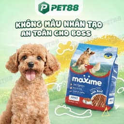 Hạt cho chó trưởng thành MAXIME gói 1.5KG vị bò bổ sung năng lượng, hỗ trợ tiêu hóa - MÉO CHÒ UNI 8