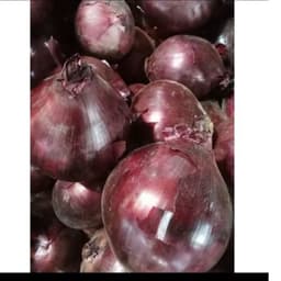 (Siêu Rẻ) 1Kg Hành Tây Tím Đà Lạt Tròn Đều Chắc Củ 3