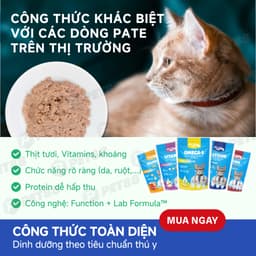 Pate Cho Mèo MR.VET Combo TIẾT KIỆM 12,24,48 Gói 70G 51% Thịt, Bổ Sung Protein,Taurine - MÉO CHÒ UNI 6