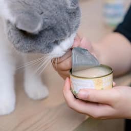 Pate Mèo S2PET Lon 85g dạng lỏng – Thịt Xé Sốt Rau Củ, Kích Thích Ăn Ngon - Méo Chò Uni 3