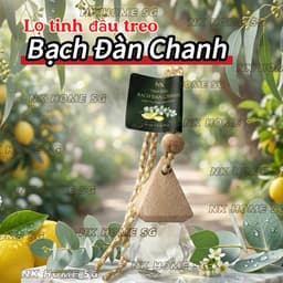 Tinh Dầu Treo Xe Cao Cấp – Treo Ô Tô, Phòng Ngủ, Nhà Vệ Sinh – Hương Thơm Tự Nhiên, An Toàn 4