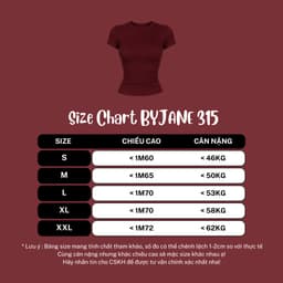 [ MÀU MỚI ] Áo Thun Nữ Thắt Eo Ôm Body BYJANE chất thun mịn co dãn 4 chiều Women BYJANE - 315 3