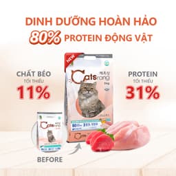[CHÍNH HÃNG] Thức ăn hạt cho mèo mọi lứa tuổi Catsrang 5KG nhập khẩu Hàn Quốc - MÉO CHÒ UNI 2